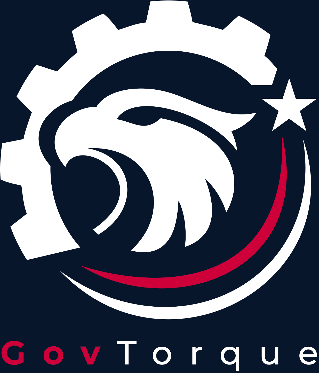 GovTorque Negative Logo 2